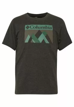 En promotion Columbia ALPINE WAY™ GRAPHIC TEE - T-shirt imprimé vêtements fitness male -Columbia Magasin de vente 4d0b62b817564a04bcad4af230d52d58