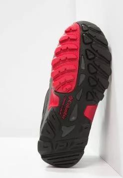 Columbia Meilleure qualité NEWTON RIDGE - Chaussures de marche randonnée unisex -Columbia Magasin de vente 576eedf511024fdc82a37b8f32b1da83