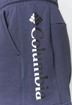 Prix Refroidis Columbia LOGO™ II SHORT - Short de sport vêtements randonnée urbaine female -Columbia Magasin de vente 67e8f2acd74a4017ad24776042b67bfc