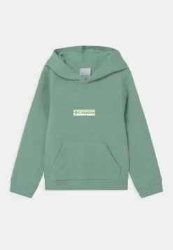 Columbia PARK™ HOODIE UNISEX - Sweatshirt Soldes vêtements randonnée 11 Columbia PARK™ HOODIE UNISEX - Sweatshirt Soldes vêtements randonnée -Columbia Magasin de vente cbb6416b7d07432186f239f45f50bc99