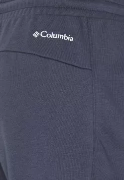 Prix Refroidis Columbia LOGO™ II SHORT - Short de sport vêtements randonnée urbaine female -Columbia Magasin de vente e9e55fb09aa7479e8b191a2df81024dc